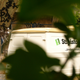 Image for article titled The Piaggio Ape: Buzzing About in Europe’s Cutest Truck